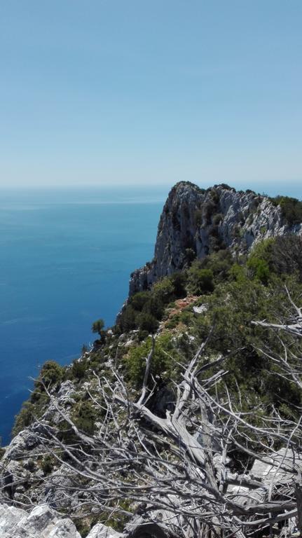 Naramanue Villa Dorgali Exterior foto